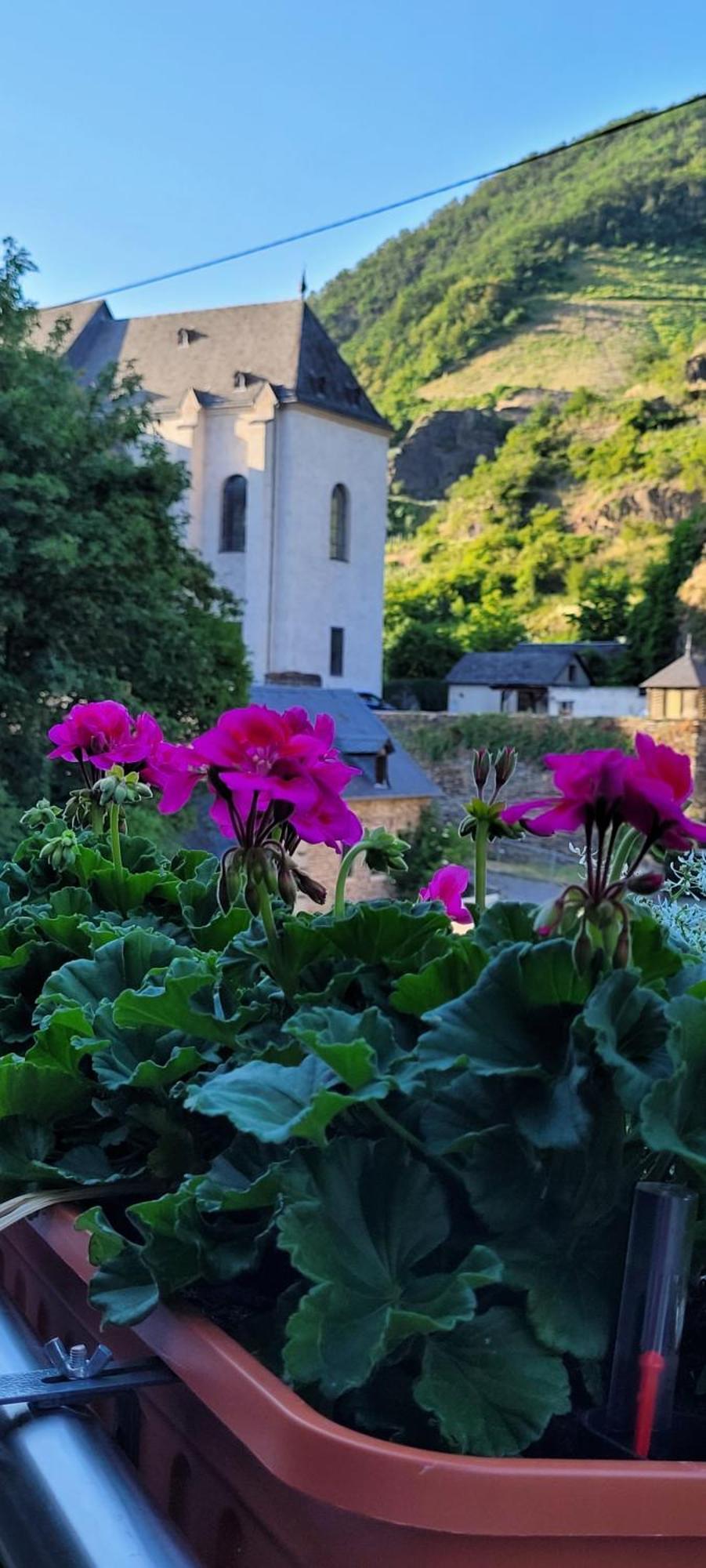 Im Beilsteiner Muehlental Daire Dış mekan fotoğraf